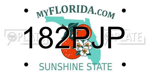 182PJP Florida License Plate