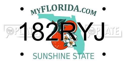182RYJ Florida License Plate