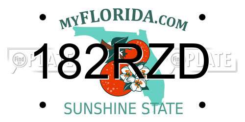 182RZD Florida License Plate