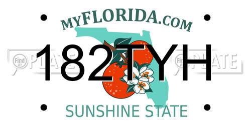 182TYH Florida License Plate