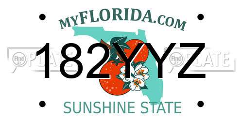 182YYZ Florida License Plate