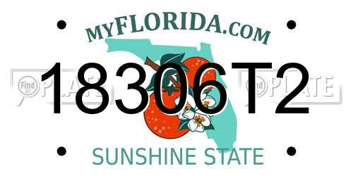 18306T2 Florida License Plate