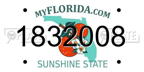 1832008 Florida License Plate