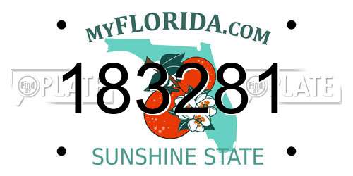 183281 Florida License Plate