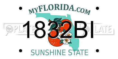 1832BI Florida License Plate