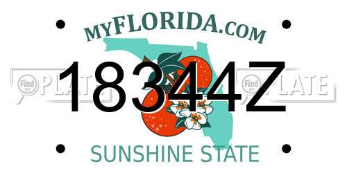 18344Z Florida License Plate
