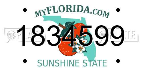 1834599 Florida License Plate