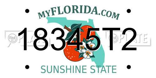 18345T2 Florida License Plate