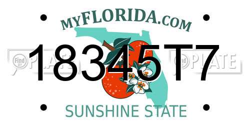 18345T7 Florida License Plate