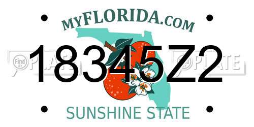 18345Z2 Florida License Plate