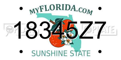 18345Z7 Florida License Plate