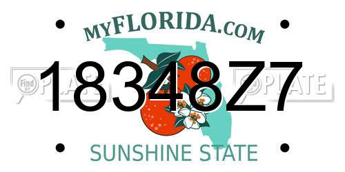 18348Z7 Florida License Plate