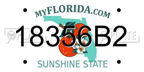 18356B2 Florida License Plate
