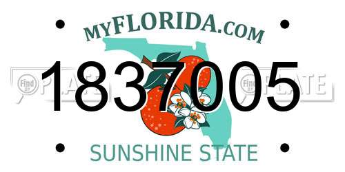 1837005 Florida License Plate