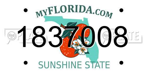 1837008 Florida License Plate