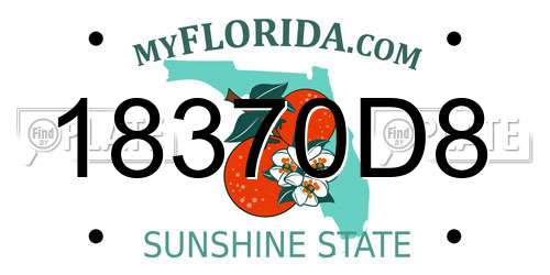 18370D8 Florida License Plate