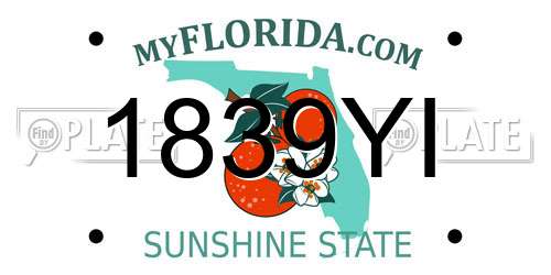 1839YI Florida License Plate