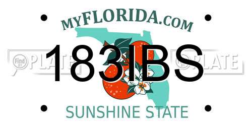 183IBS Florida License Plate