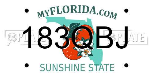 183QBJ Florida License Plate