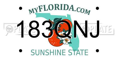 183QNJ Florida License Plate