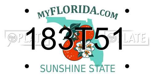 183T51 Florida License Plate