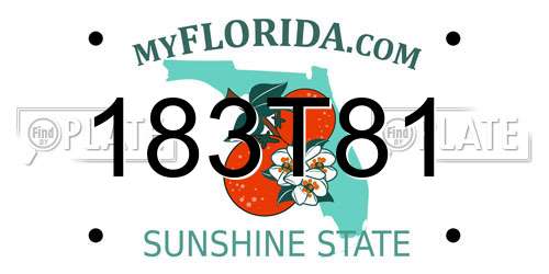 183T81 Florida License Plate