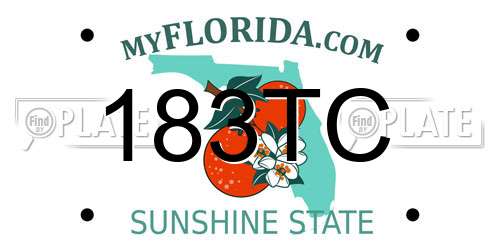 183TC Florida License Plate