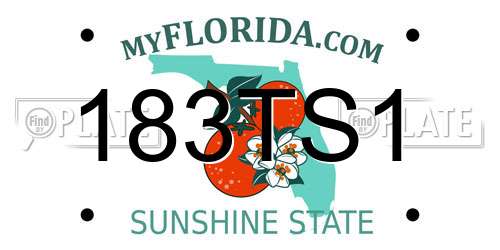 183TS1 Florida License Plate