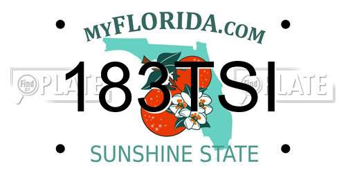 183TSI Florida License Plate