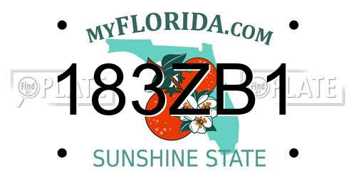 183ZB1 Florida License Plate
