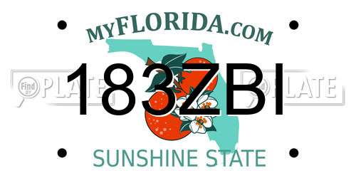 183ZBI Florida License Plate