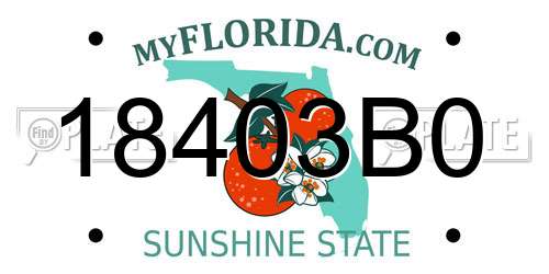 18403B0 Florida License Plate
