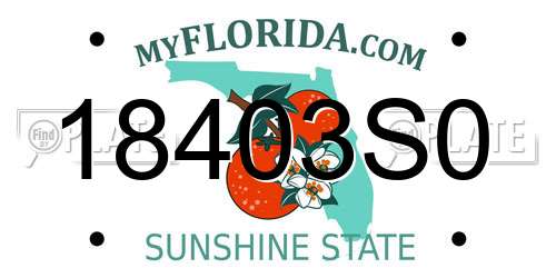 18403S0 Florida License Plate