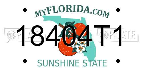 18404T1 Florida License Plate