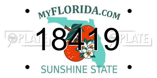 18419 Florida License Plate