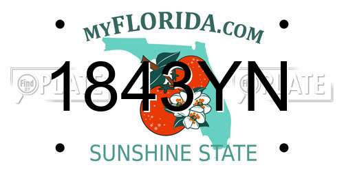 1843YN Florida License Plate