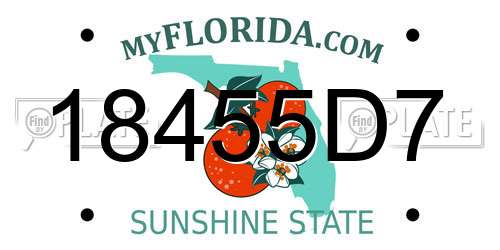 18455D7 Florida License Plate