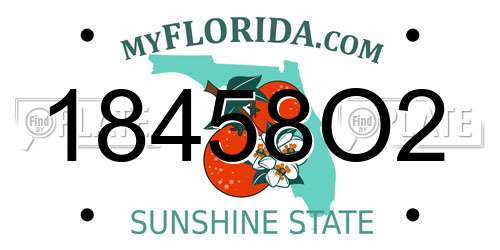 18458O2 Florida License Plate
