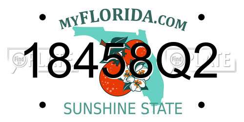 18458Q2 Florida License Plate