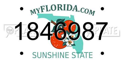 1846987 Florida License Plate