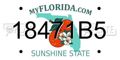 18471B5 Florida License Plate