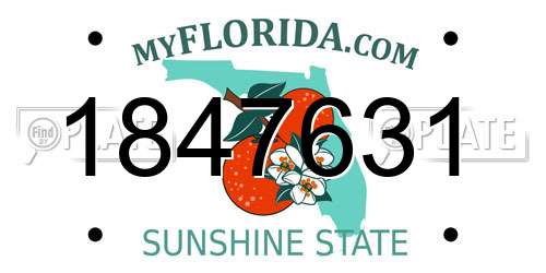 1847631 Florida License Plate