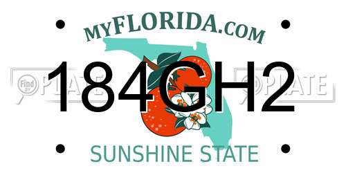 184GH2 Florida License Plate