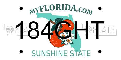 184GHT Florida License Plate