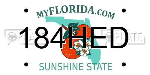 184HED Florida License Plate