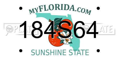 184S64 Florida License Plate