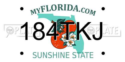 184TKJ Florida License Plate