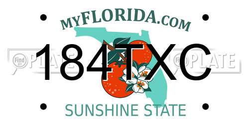 184TXC Florida License Plate
