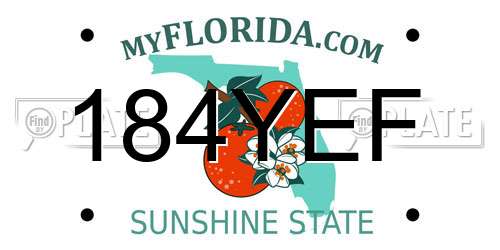 184YEF Florida License Plate
