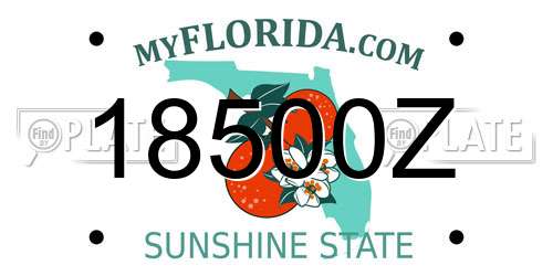 18500Z Florida License Plate